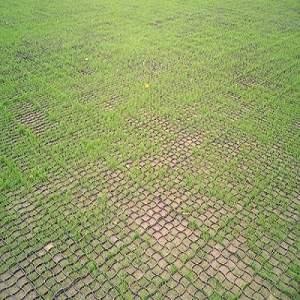 runfloor_ loja_2